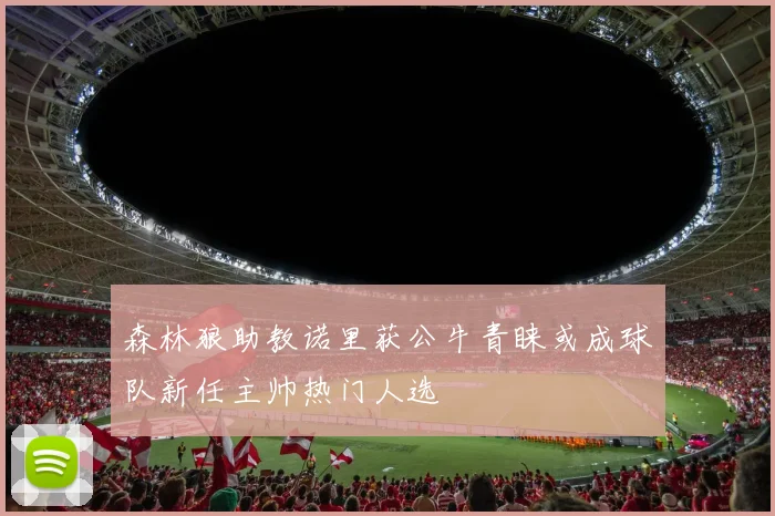 森林狼助教诺里获公牛青睐或成球队新任主帅热门人选