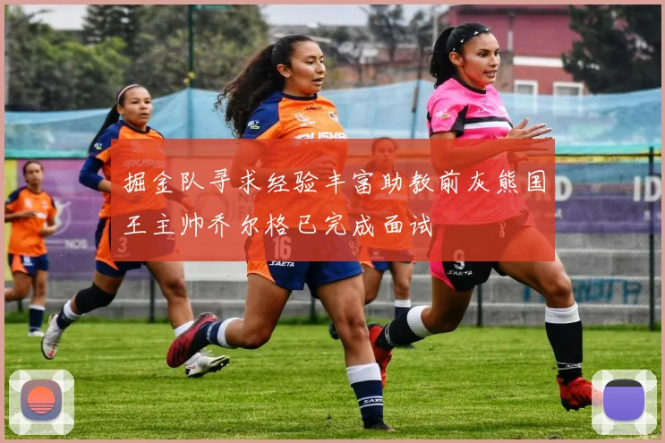 掘金队寻求经验丰富助教前灰熊国王主帅乔尔格已完成面试